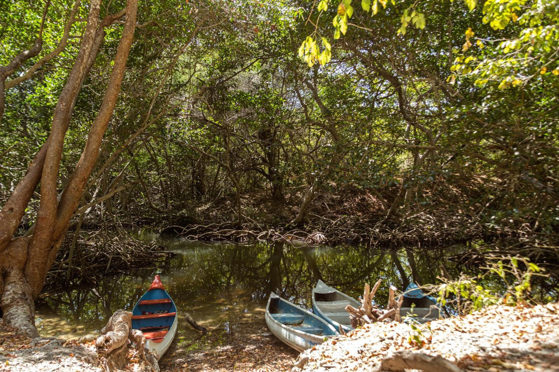 El Hamaquero Econativo Isla Grande (Cartagena)